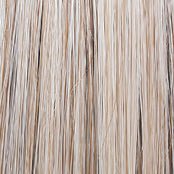 Raquel Welch Made You Look Wig, RL19/23SS Biscuit