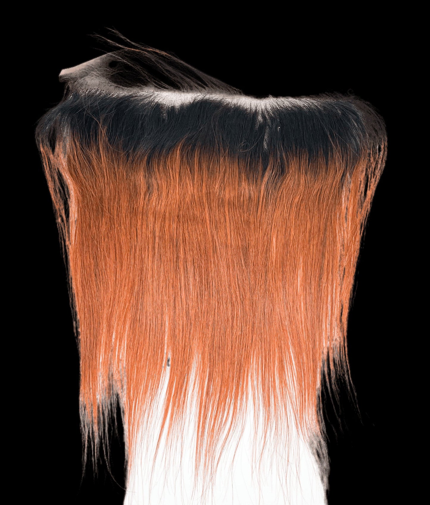 RIO Straight Frontal Ear to Ear 13X5 Honey - VIP Extensions