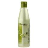 Salerm Citric Balance 01 Shampoo (9 oz) - VIP Extensions