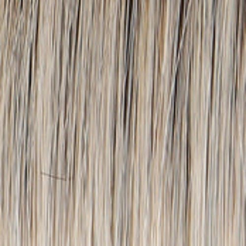 WELL PLAYED - Wig by Raquel Welch - VIP Extensions