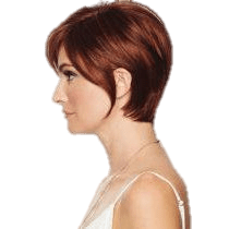 CONTEMPO CUT wig by Eva Gabor - VIP Extensions