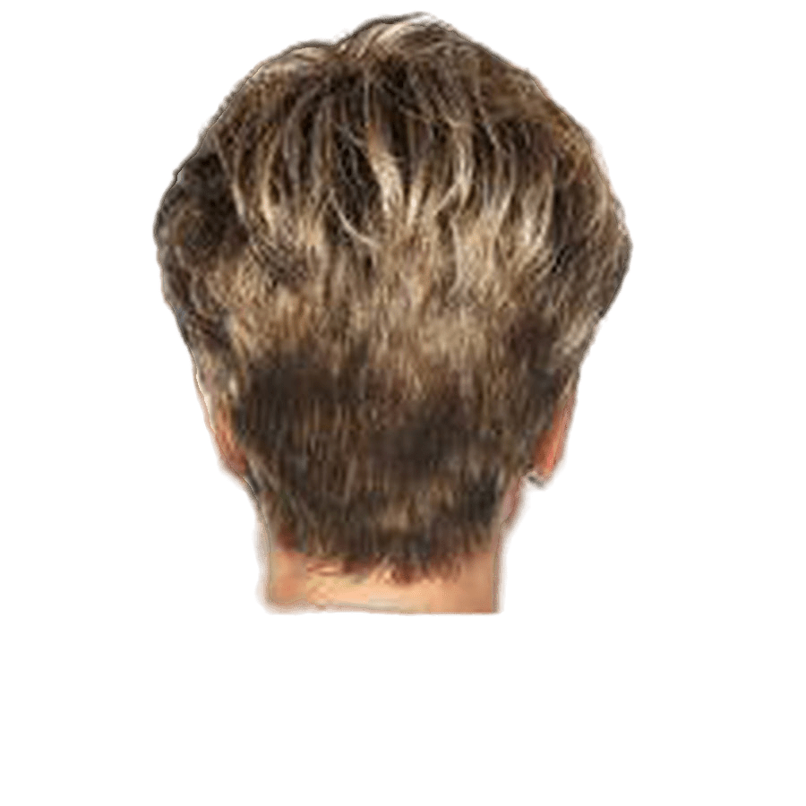 WINNER - Wig By Raquel Welch - VIP Extensions