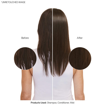 Alterna Caviar Multiplying Volume collection