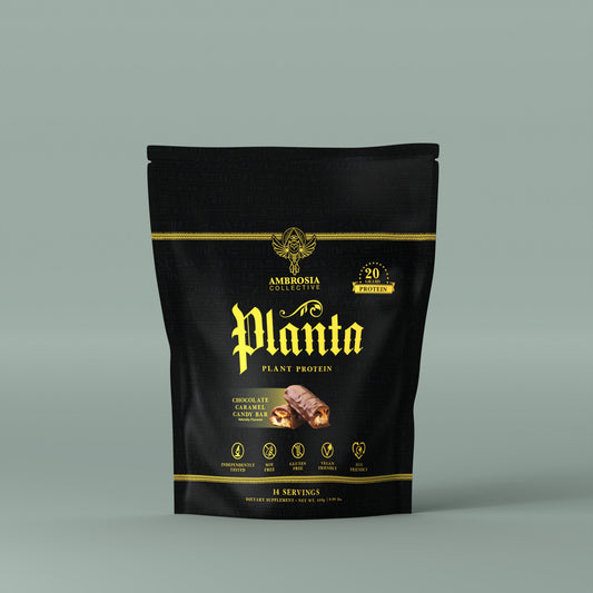Ambrosia Collective Planta plant protein powder, Chocolate Caramel Candy Bar, 14 serving pouch
