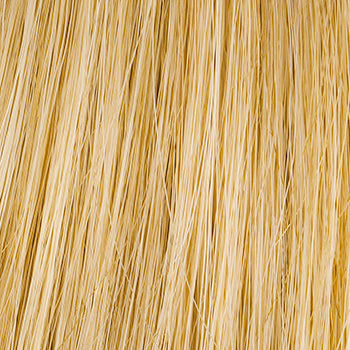 Hairdo 20" 10-Piece Straight Human Hair Clip-In Extension Kit - R25 Ginger Blonde