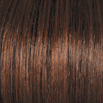 Raquel Welch Ahead of the Curve Wig, New With Tags - shade SS9-30
