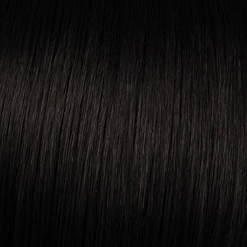 POWER - Wig by Raquel Welch - shade R2