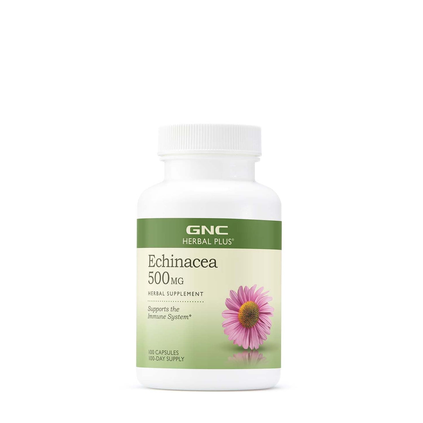 GNC Herbal Plus Echinacea 500mg immune support herbal supplement, 100 capsule bottle