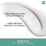 Biolage Scalp Sync Anti - Dandruff Shampoo | Targets Dandruff 13.5 Oz - VIP Extensions
