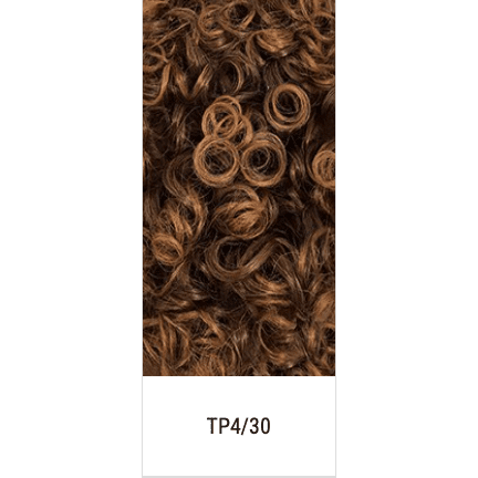 Femi Collection Afro Wig - VIP Extensions