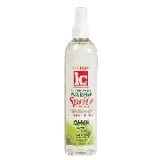 IC Fantasia Hair Polisher Spritz Super Hold oz - VIP Extensions