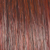 Raquel Welch Bella Vida Wig, RL33/35 Deepest Ruby