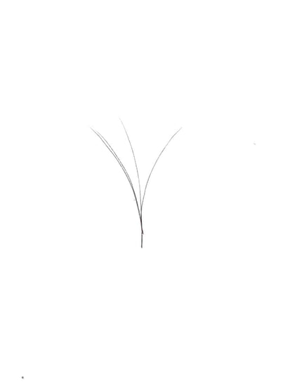 VIP Extensions V Type Easy Fan Lash Extensions 0.05 C Curl 12 Lines, 8 mm