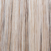 Raquel Welch Black Tie Chic Wig, RL19/23SS Biscuit