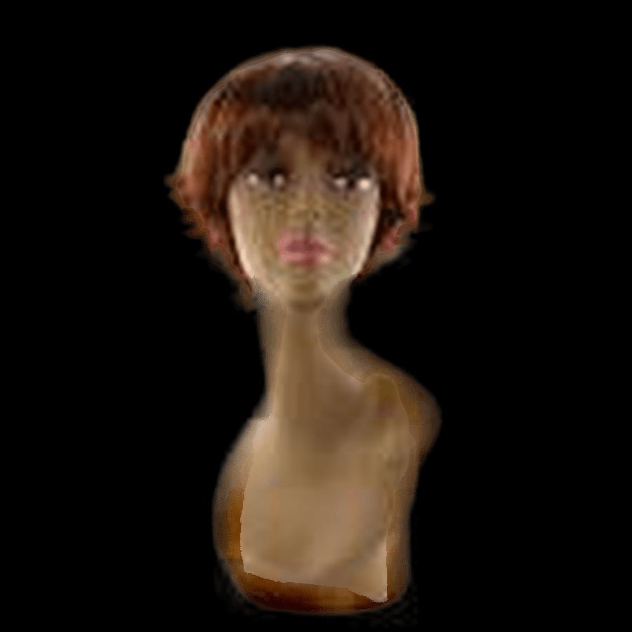 Pallet  122 - Lot of Wigs, variety of styles - VIP Extensions