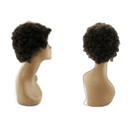 Pallet  135 - Lot of Wigs - 100% Human Hair - Variety of Styles - VIP Extensions