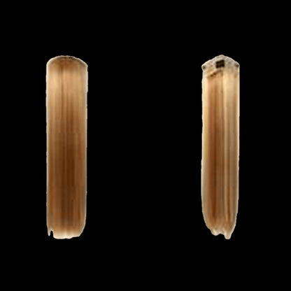 Pallet  161 - Lot of Hair - variety of styles and colors - VIP Extensions