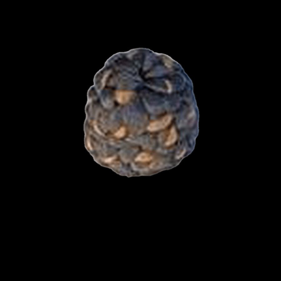 Pallet  211 - Lot of Hair - variety of styles and colors - VIP Extensions