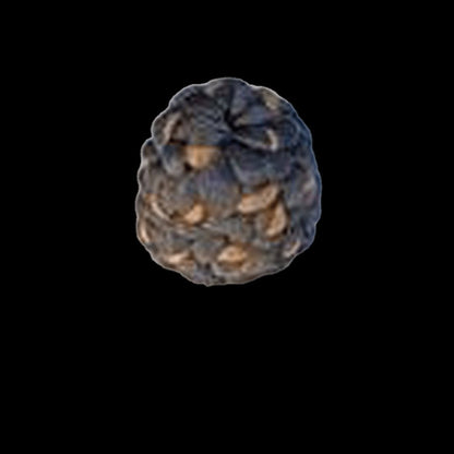 Pallet  211 - Lot of Hair - variety of styles and colors - VIP Extensions