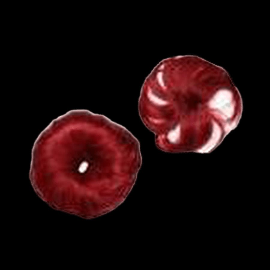 Pallet  233 - Lot of 100% Human Hair - variety of styles and colors - VIP Extensions