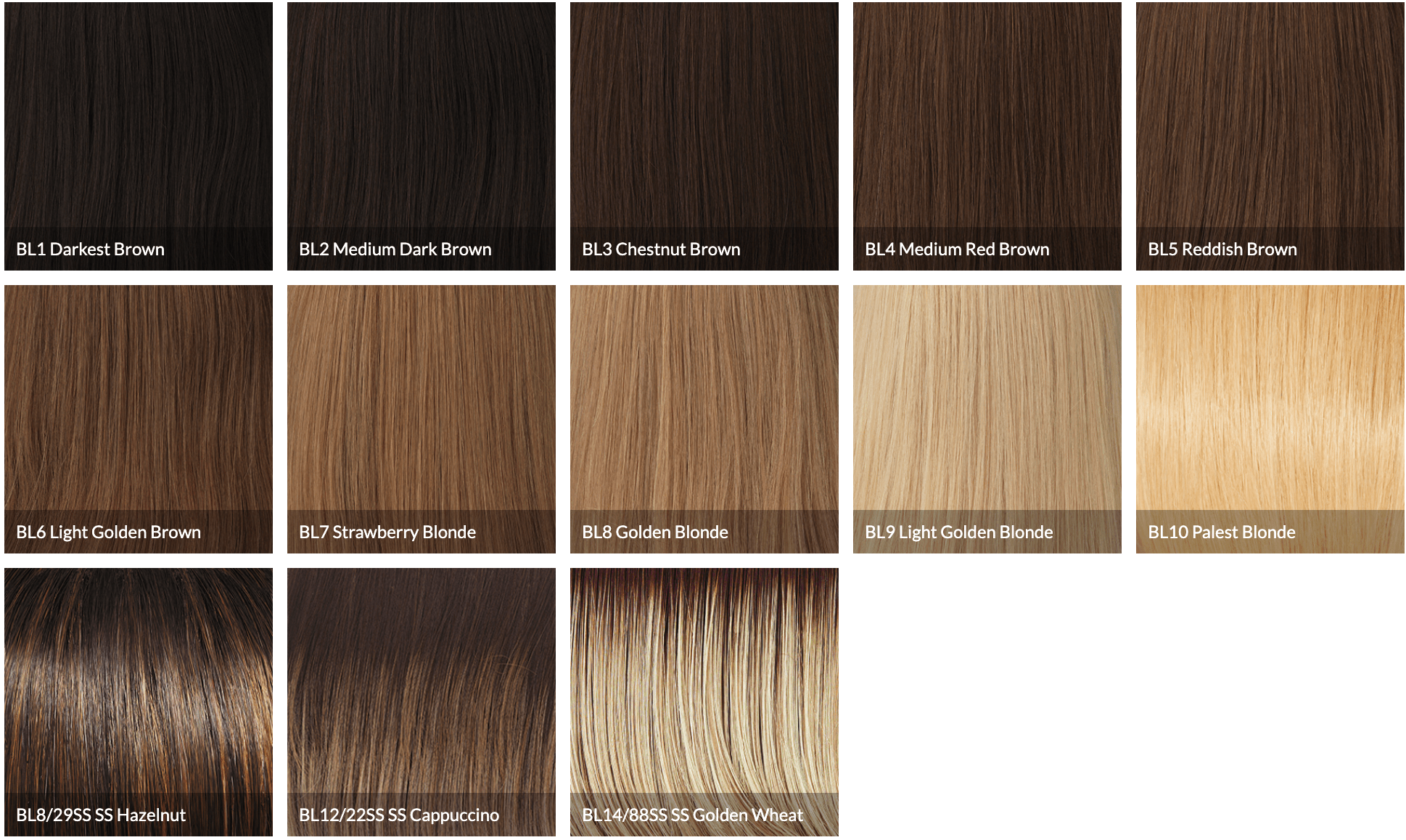 princessa by Raquel welch european human hair wig color BL6 - VIP Extensions