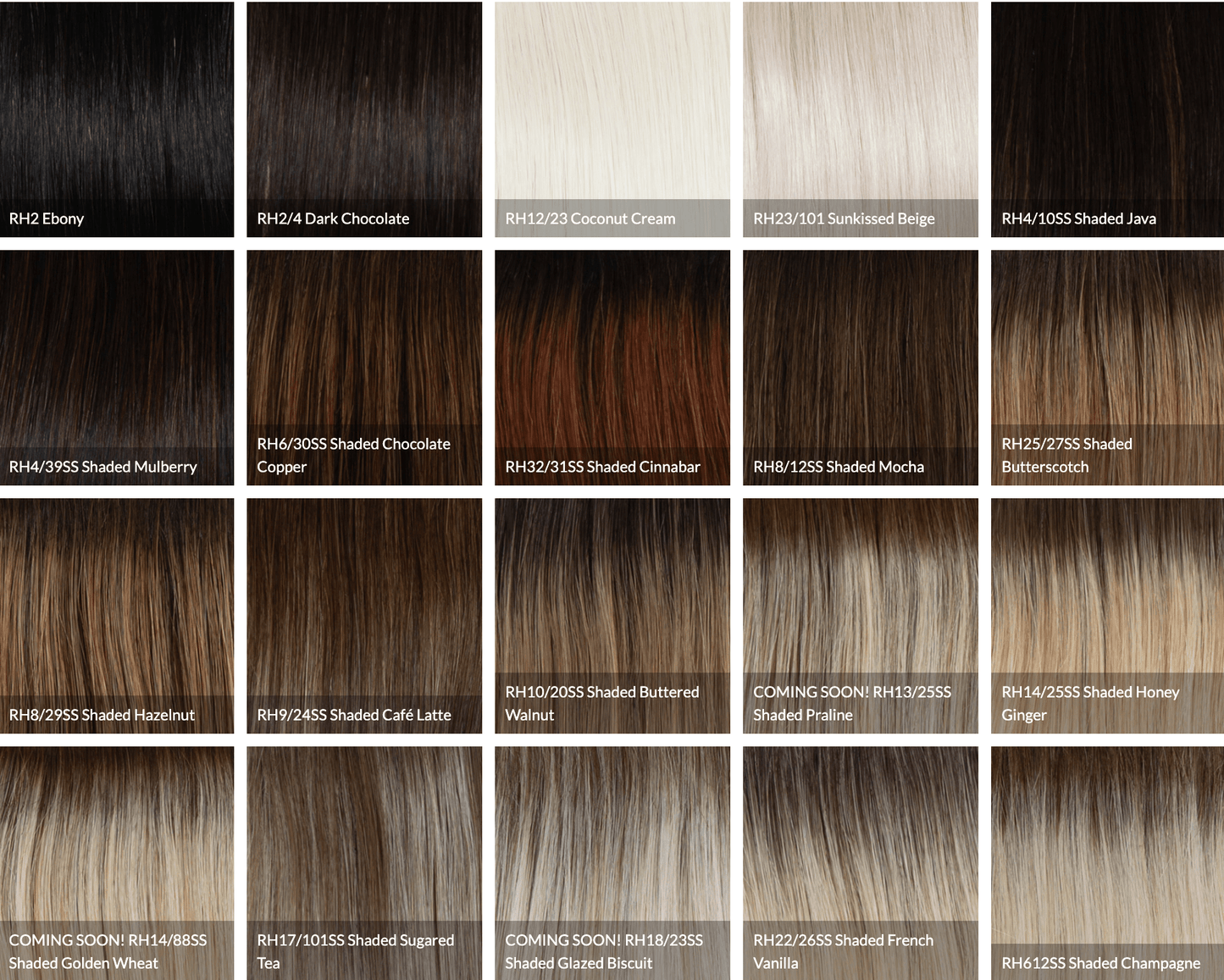 Raquel Welch Athenian Adventure Luxurious Long Layered Wig, Black Label Human Hair Collection by Hairuwear, Average Cap, Rh9/24SS Shaded Café Latte - VIP Extensions