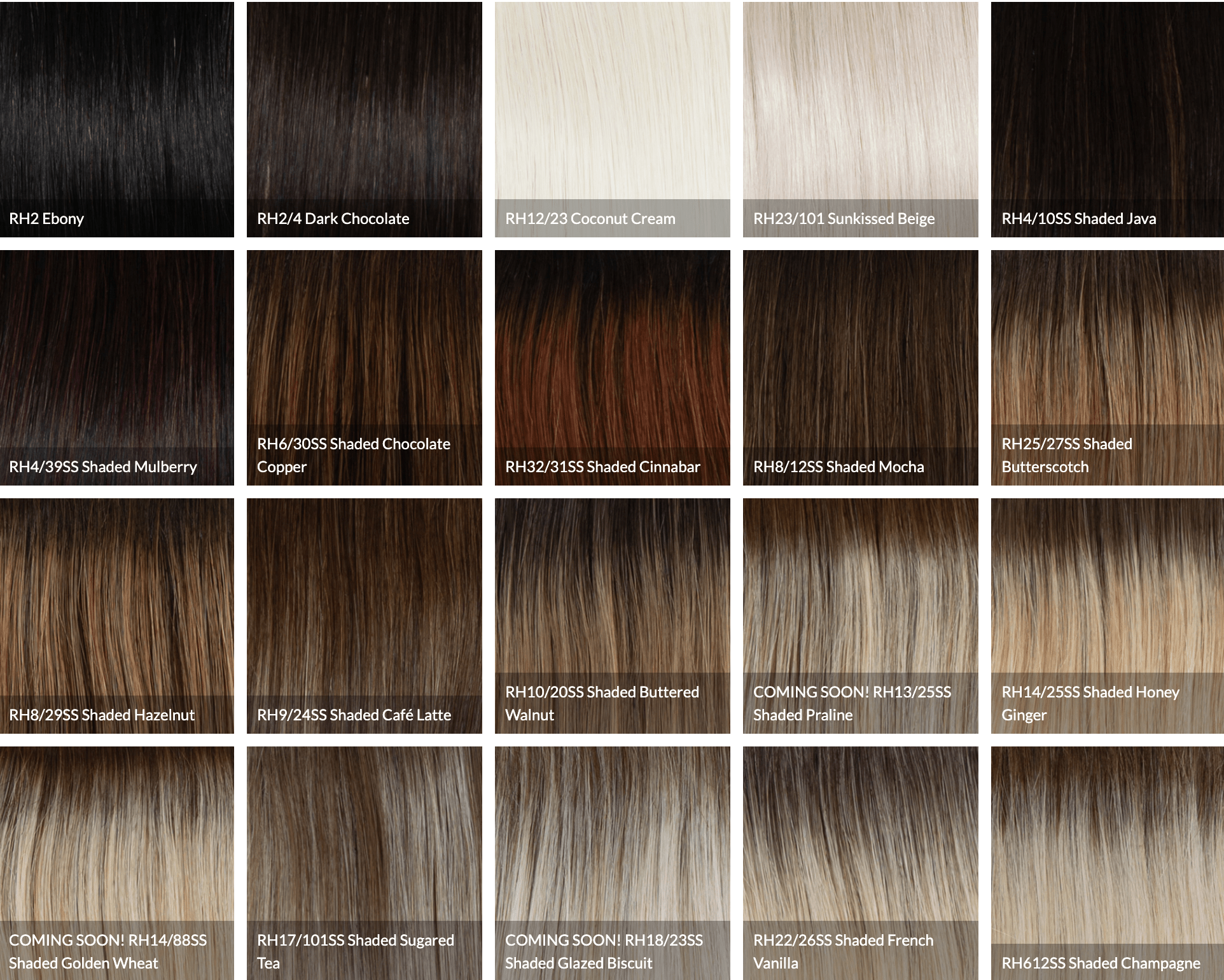 Raquel Welch Athenian Adventure Luxurious Long Layered Wig, Black Label Human Hair Collection by Hairuwear, Average Cap, Rh9/24SS Shaded Café Latte - VIP Extensions