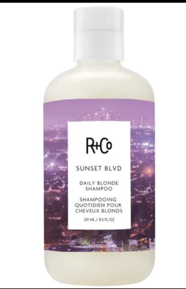 R+Co Sunset Blvd Blonde Shampoo 8.5 Oz - VIP Extensions