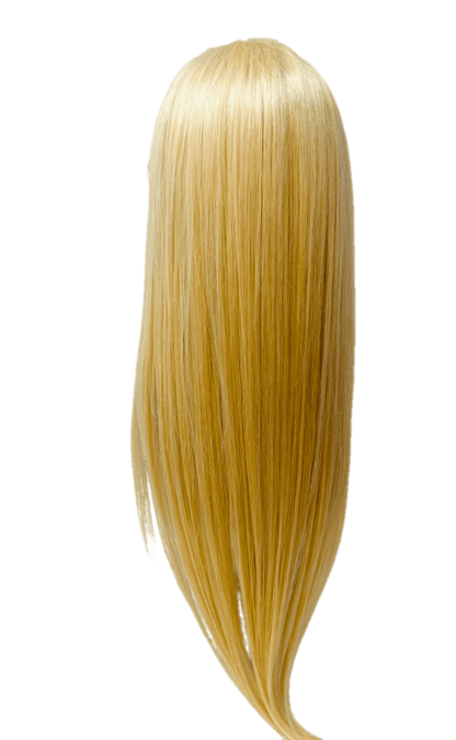 RIO Ukrainian Straight Human Hair Front Lace Wig - VIP Extensions