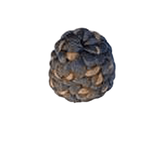 Unique Dome Buns Style 5 - VIP Extensions