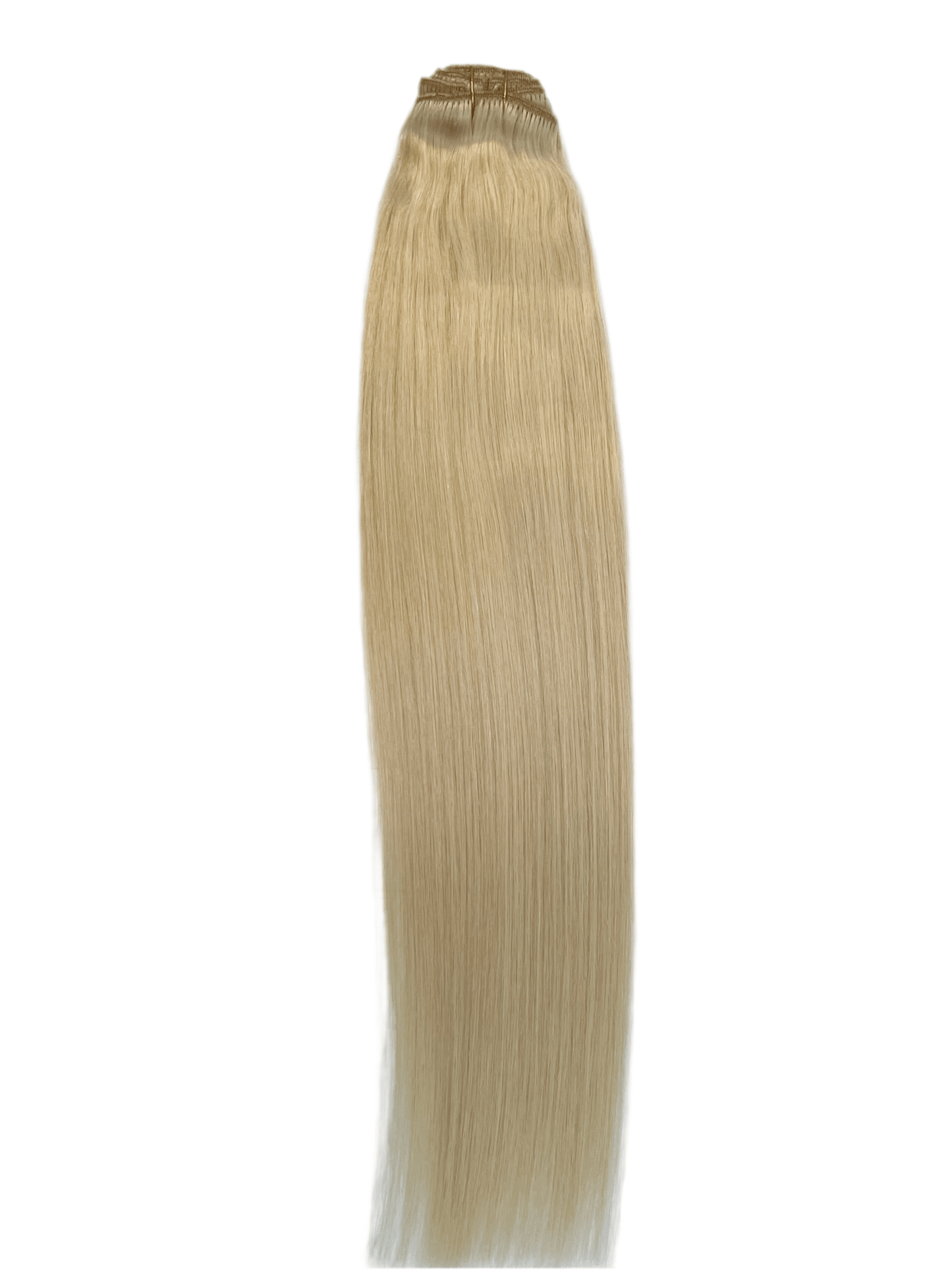 VIP Clip Extensions / Silky Straight - 24'' (170 g ) - ClipeX System - VIP Extensions