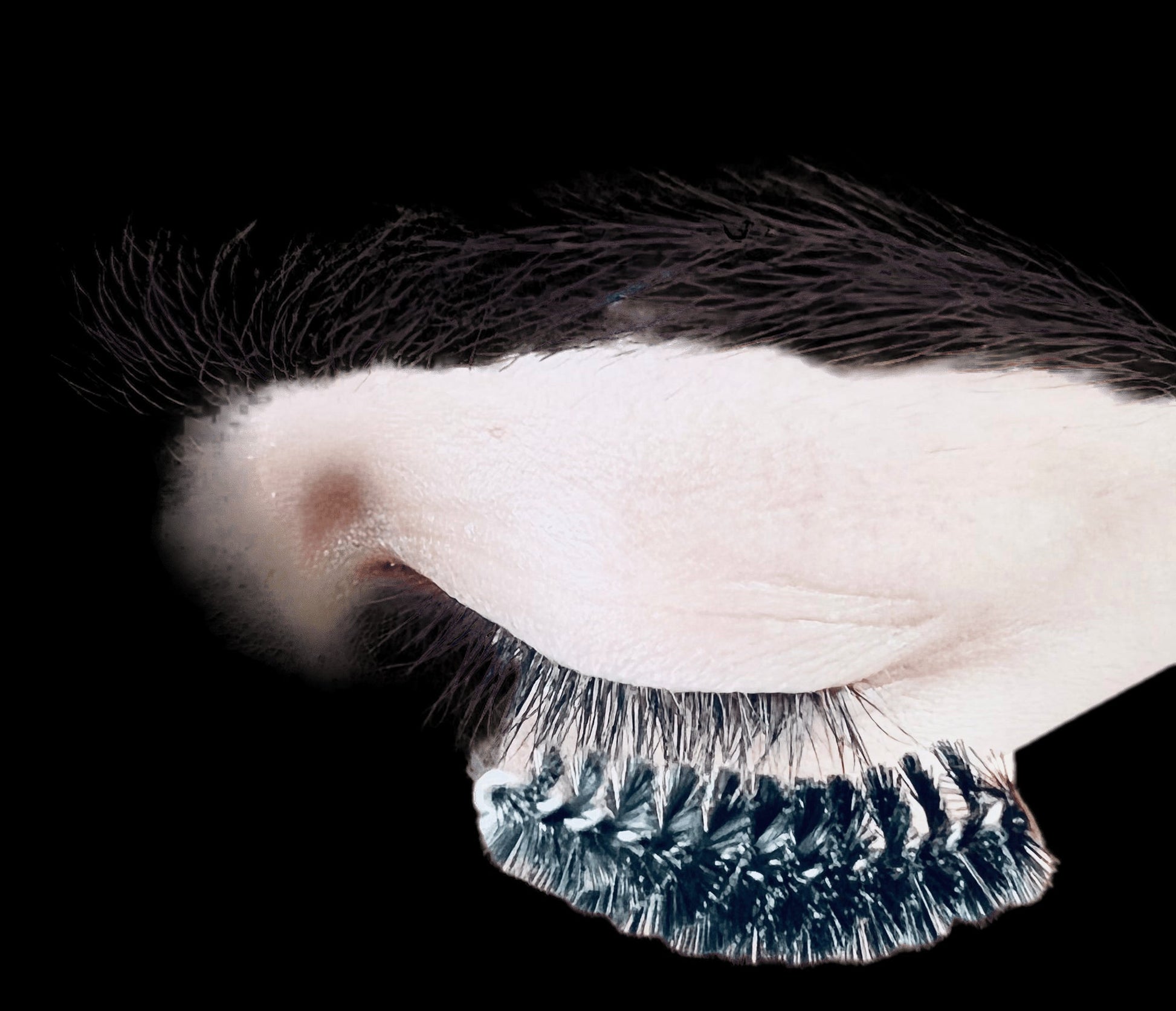 VIP - Eyelash accessories - Mascara Wands with Bamboo Handle - 50 pcs/bag - VIP Extensions