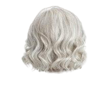 FLIRT ALERT - wig By Raquel Welch