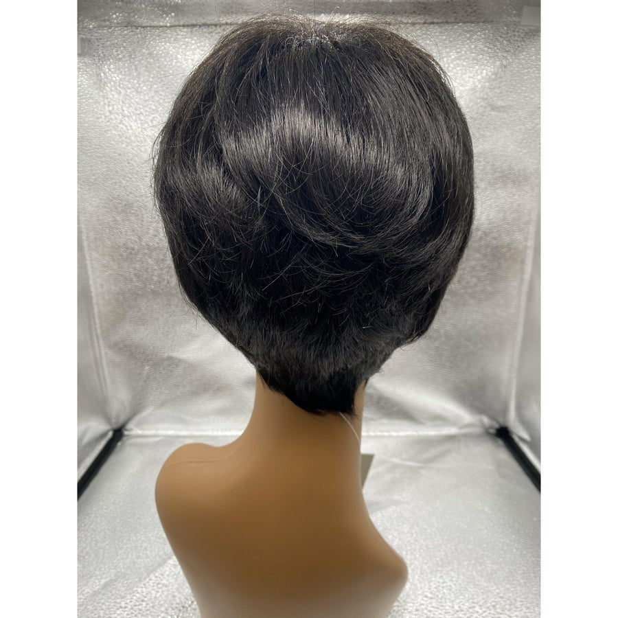 WINNER - Wig By Raquel Welch - VIP Extensions