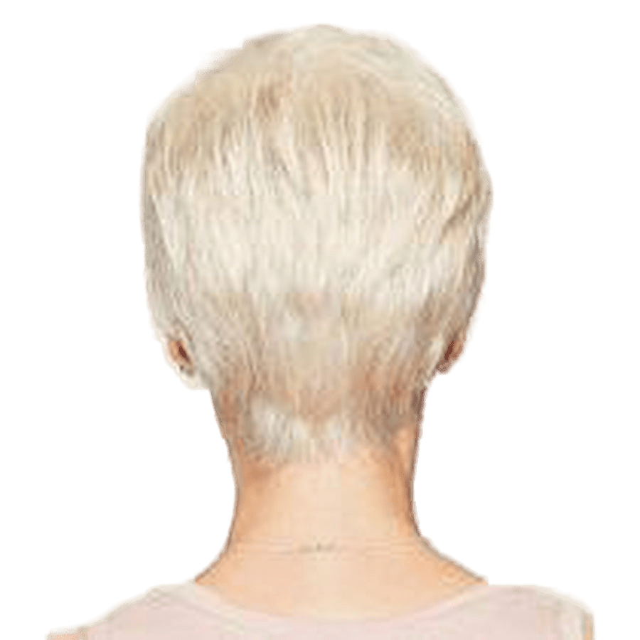 WINNER - Wig By Raquel Welch - VIP Extensions